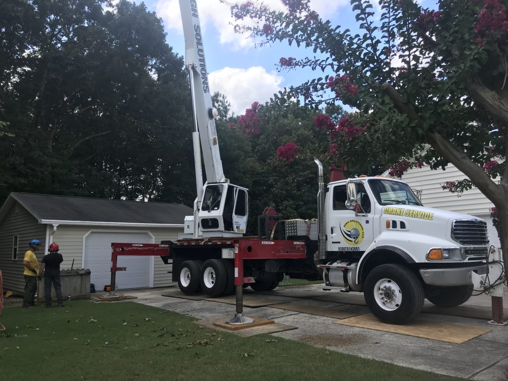 Crane tree removal job