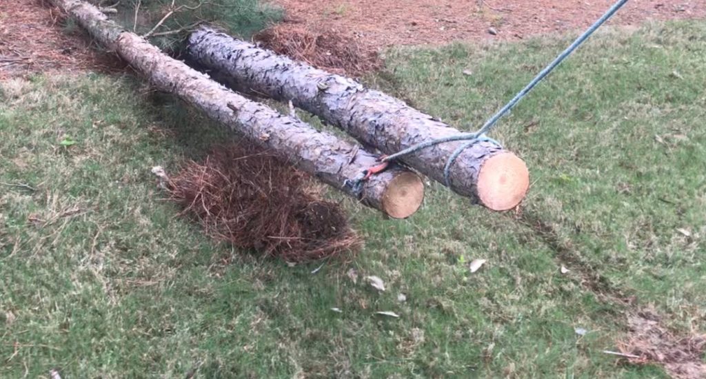 Emergency Tree Removal Clayton NC