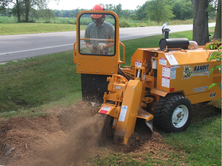 Stump Grinding Services