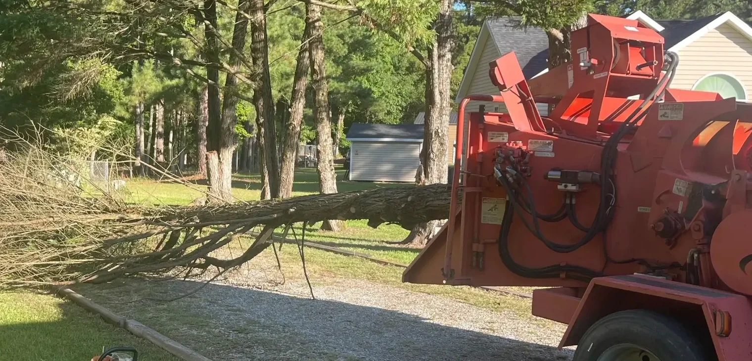 Woodchipper and tree removal service