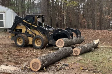 Tree Removal