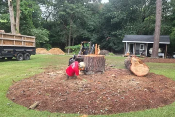 Hardwood tree removal in Clayton, NC